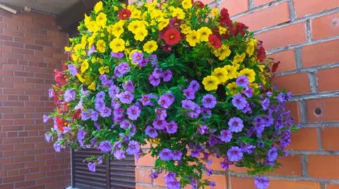 Planters Stock Photos