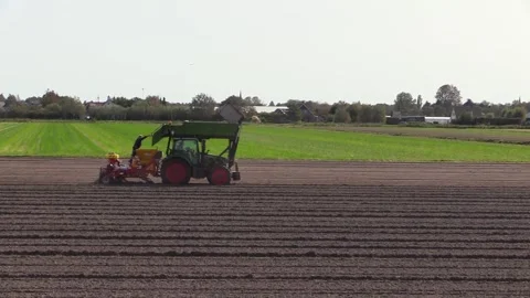 Planting flowerbulbs 库存影片 139567047