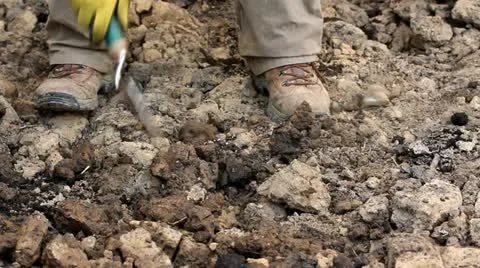 Planting in the garden Stock Footage 11050990