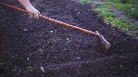 Planting of the Garden Stock Footage 49799118