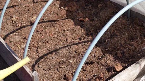 Planting in the garden Stock Footage 181047011