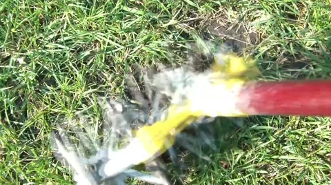 Planting Grass Seed 스톡 동영상 66064246