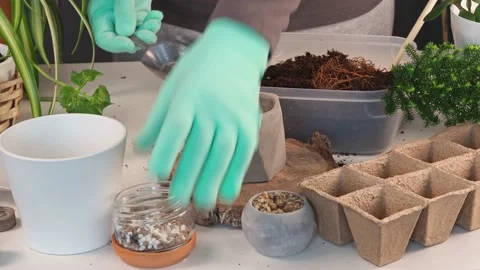 Planting at home, Adding soil to trendy concrete pot with Planted a succulent Stock Footage 172487237