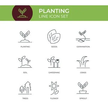 Planting Line Icon Set Vector Template Customizable Stroke Stock Illustration
