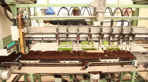 Planting machine Stock Footage 51564724