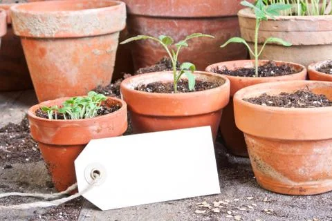 Planting Stock Photos