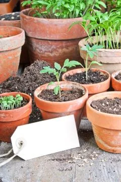 Planting Stock Photos