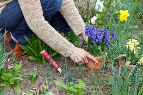 Planting Stock Photos