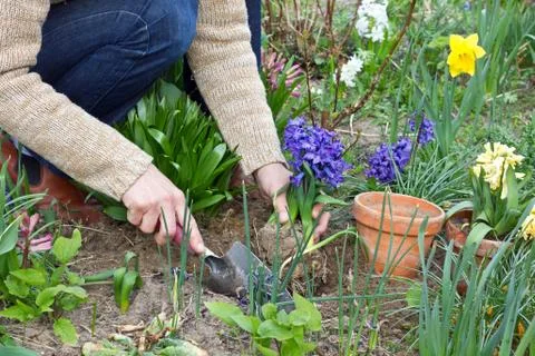 Planting Stock Photos