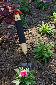 Planting Stock Photos
