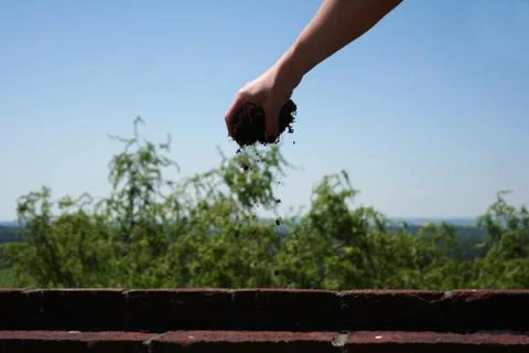 Planting 写真素材