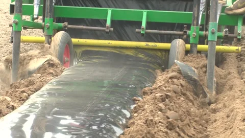 Planting of plants and installation of automatic drip irrigation Stock-Footage 266724032