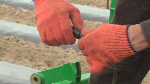 Planting of plants and installation of automatic drip irrigation Stock-Footage 266725401