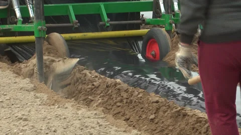 Planting of plants and installation of automatic drip irrigation Stock-Footage 266726932