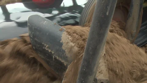 Planting of plants and installation of automatic drip irrigation Stock-Footage 266729344