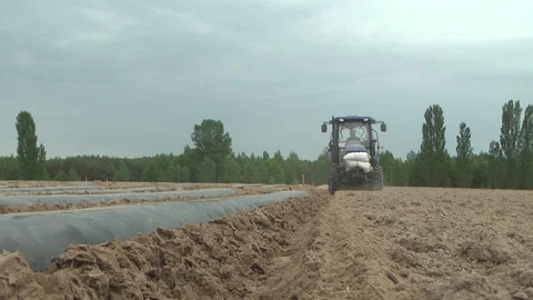 Planting of plants and installation of automatic drip irrigation Stock-Footage 266730074