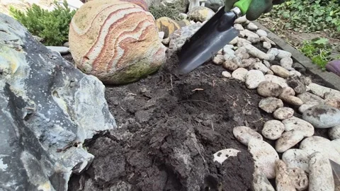 Planting plants in spring. A worker's hand digs a hole for a plant Stock Footage 336567790
