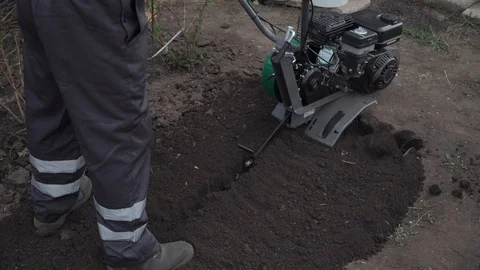 Planting potatoes under the walk-behind tractor. Man with motor-block in the gar Stock Footage 96389907