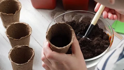 Planting Process . Stock Footage 169755603