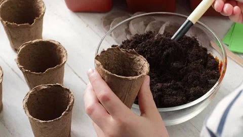 Planting Process . Stock Footage 169755605