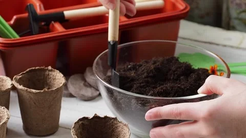 Planting Process . Stock Footage 169755606