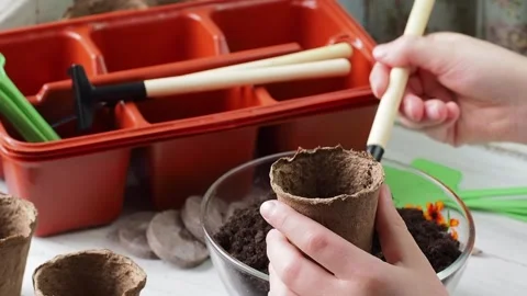 Planting Process . Stock Footage 169755607