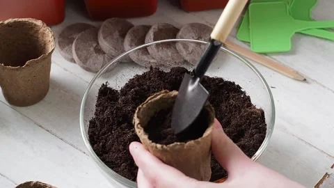 Planting Process . Vidéo 169755622