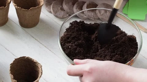 Planting Process . Stock Footage 169755624