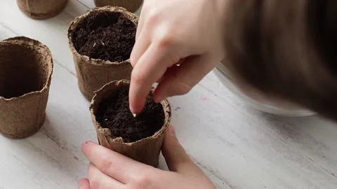 Planting Process . Stock Footage 169755632