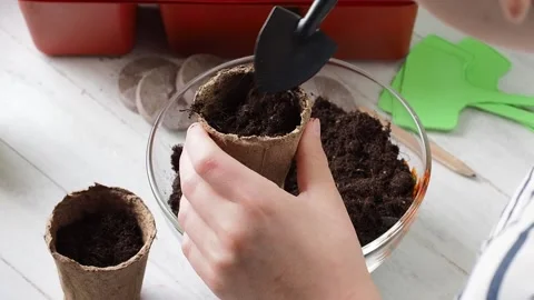 Planting Process . Stock Footage 169755686