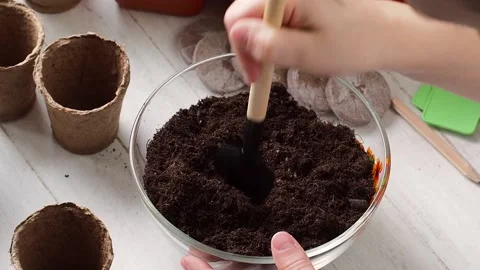 Planting Process . Stock Footage 169755787