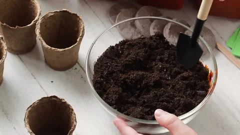 Planting Process . Stock Footage 169755788