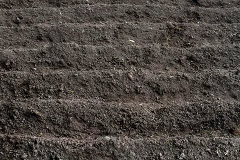 Planting Rows Stock Photos