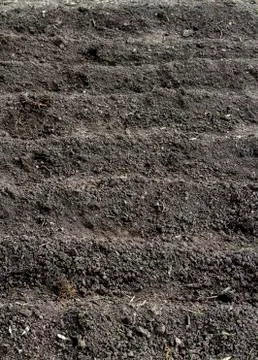 Planting rows in Soil Stock Photos