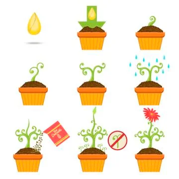 Planting The Seed Step By step Istruction Stock Illustration