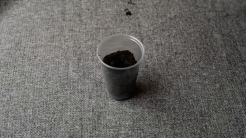 Planting seedlings in the ground Stock Footage 72826547