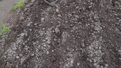 Planting seeds Stock Footage 112227801