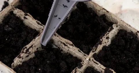 Planting seeds in the ground. The seeds fall into the ground. Gardening Stock Footage 172596592