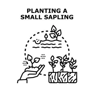 Planting a small sapling for growth and environment Stock Illustration