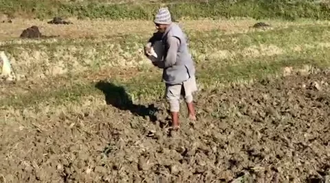 Planting time 動画素材 143191846