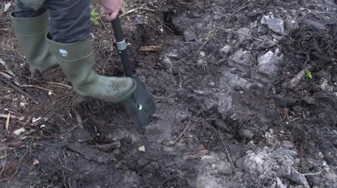 Planting a tree 2 Stock Footage 47654661