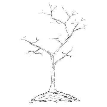 Planting a tree in the ground icon. Vector illustration of an autumn bush, tr Stock Illustration