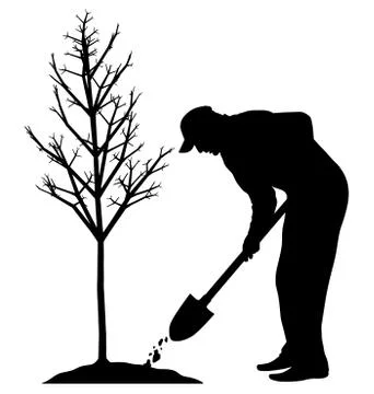 Planting a tree Stock Illustration