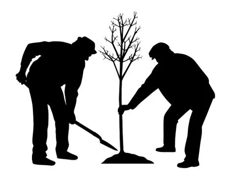 Planting a tree Stock Illustration