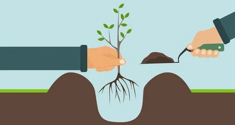 Planting a tree with roots, one hand holding a tree, another shovel with soil Stock Illustration