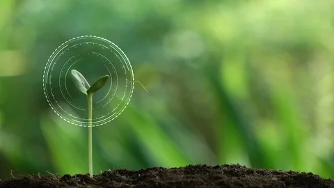 Planting a tree for save world and natural , clean ecology in natural. Stock Footage 93219621