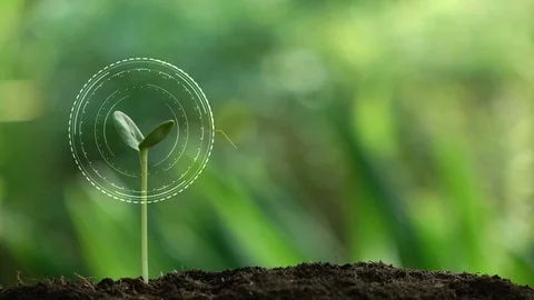 Planting a tree for save world and natural , clean ecology in natural. Stock Footage 93219643