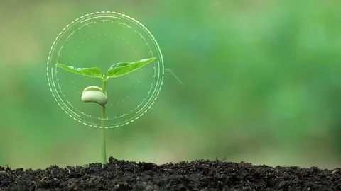 Planting a tree for save world and natural , clean ecology in natural. Stock Footage 93219686