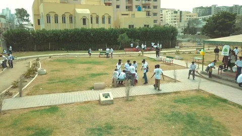 Planting Trees Stock Footage 96056806