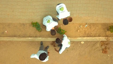 Planting Trees Stock Footage 96056812